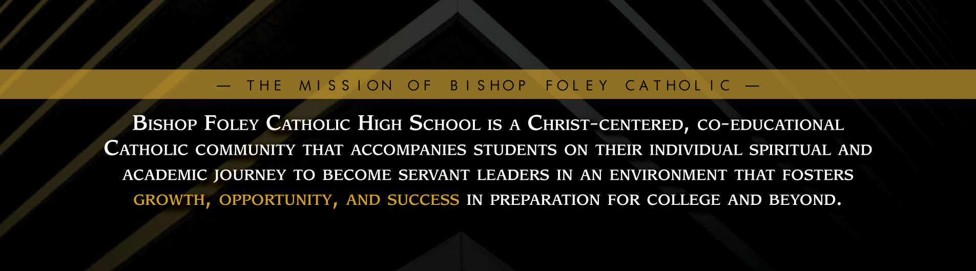 MissionStatement_WebBanner.png